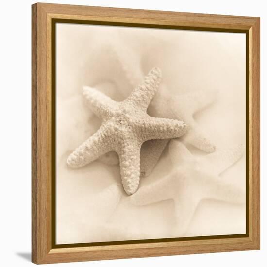 Il Oceano No. 1-Alan Blaustein-Framed Stretched Canvas