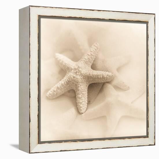 Il Oceano No. 1-Alan Blaustein-Framed Stretched Canvas