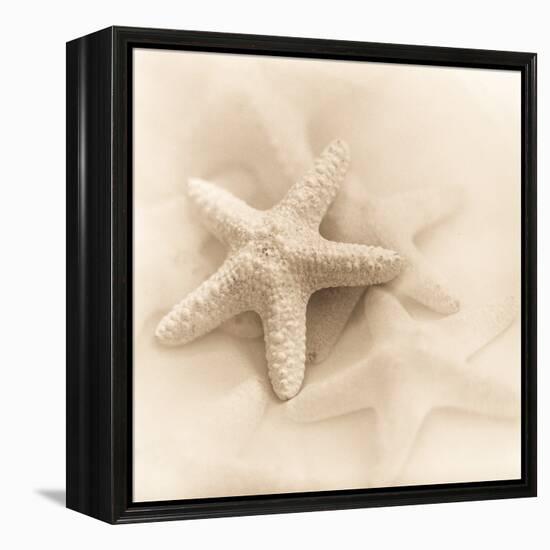 Il Oceano No. 1-Alan Blaustein-Framed Stretched Canvas