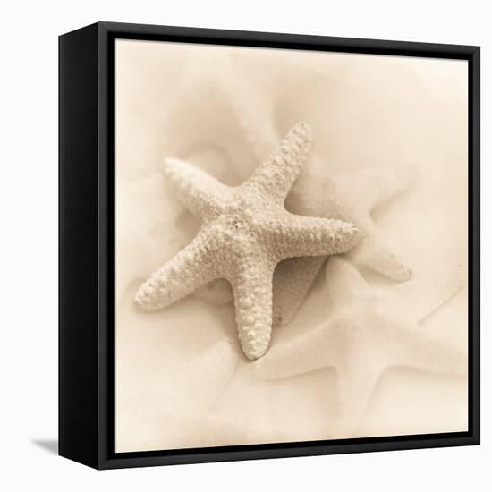 Il Oceano No. 1-Alan Blaustein-Framed Stretched Canvas