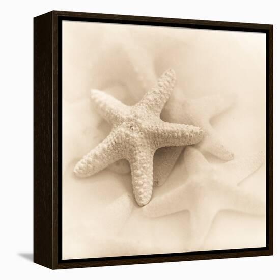 Il Oceano No. 1-Alan Blaustein-Framed Stretched Canvas