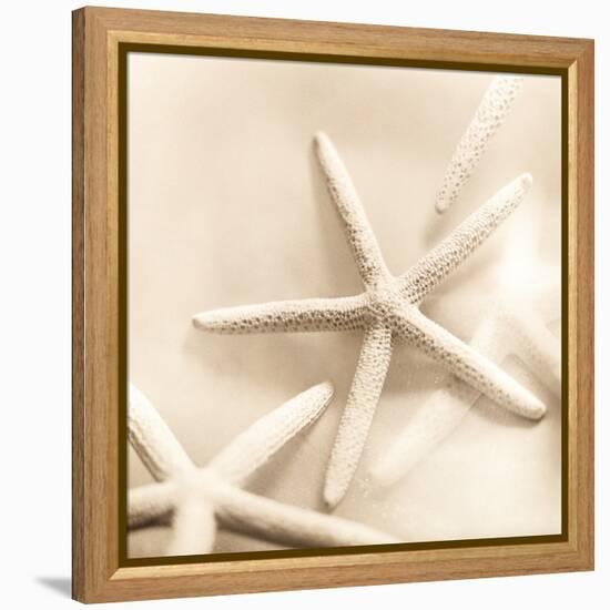 Il Oceano No. 2-Alan Blaustein-Framed Stretched Canvas