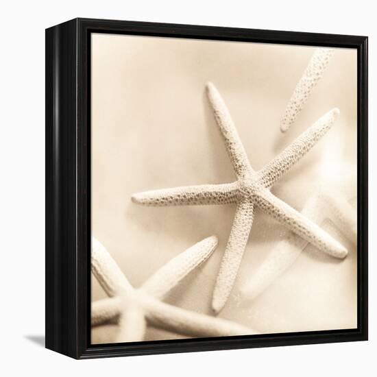 Il Oceano No. 2-Alan Blaustein-Framed Stretched Canvas