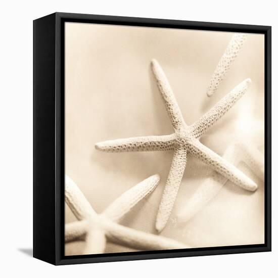 Il Oceano No. 2-Alan Blaustein-Framed Stretched Canvas