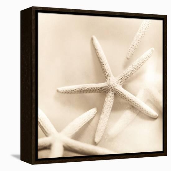 Il Oceano No. 2-Alan Blaustein-Framed Stretched Canvas