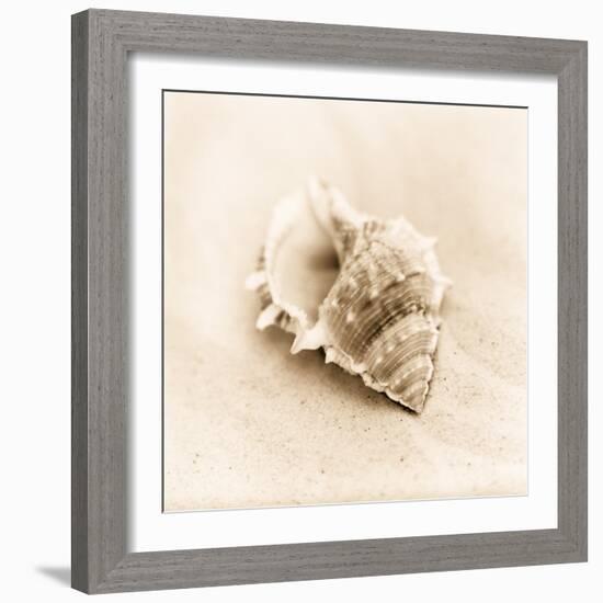 Il Oceano No. 3-Alan Blaustein-Framed Photographic Print