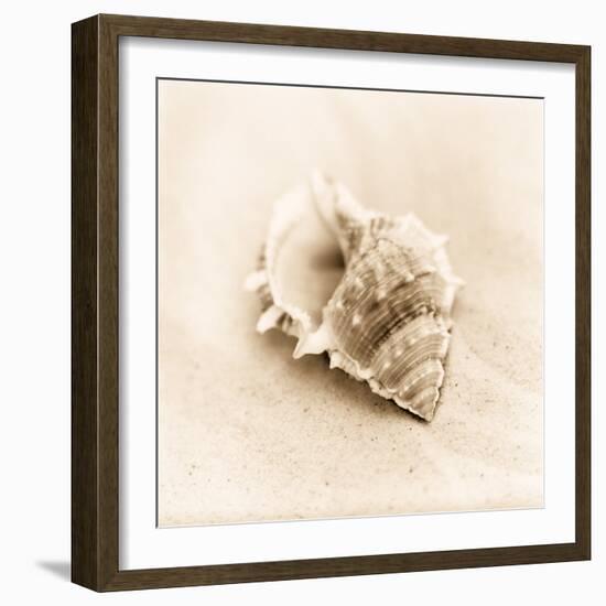 Il Oceano No. 3-Alan Blaustein-Framed Photographic Print