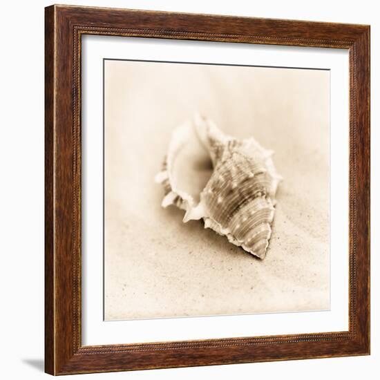 Il Oceano No. 3-Alan Blaustein-Framed Photographic Print