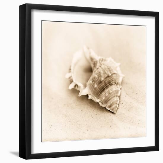 Il Oceano No. 3-Alan Blaustein-Framed Photographic Print