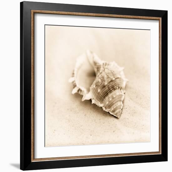 Il Oceano No. 3-Alan Blaustein-Framed Photographic Print