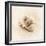 Il Oceano No. 3-Alan Blaustein-Framed Photographic Print