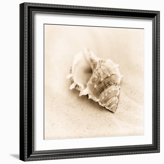 Il Oceano No. 3-Alan Blaustein-Framed Photographic Print