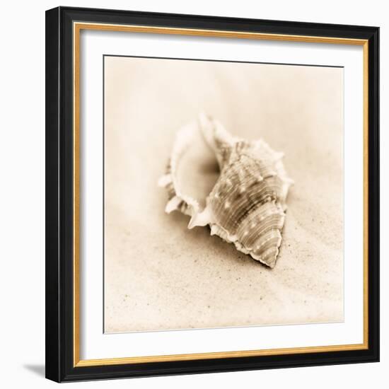 Il Oceano No. 3-Alan Blaustein-Framed Photographic Print