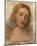 Il Redentore-Leonardo da Vinci-Mounted Premium Giclee Print