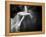 Il Sogno-Roberta Nozza-Framed Premier Image Canvas