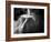 Il Sogno-Roberta Nozza-Framed Photographic Print