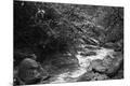 Photographic Print