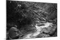 Photographic Print