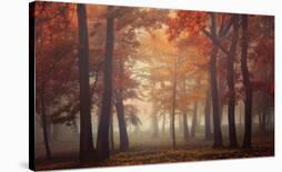 Walk Like a Lady-Ildiko Neer-Photographic Print