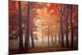 Photographic Print
