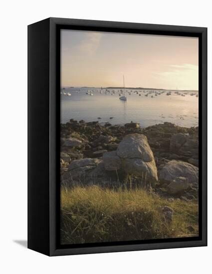 Ile Grande, Cote De Granit Rose, Cotes d'Armor, Brittany, France-David Hughes-Framed Premier Image Canvas