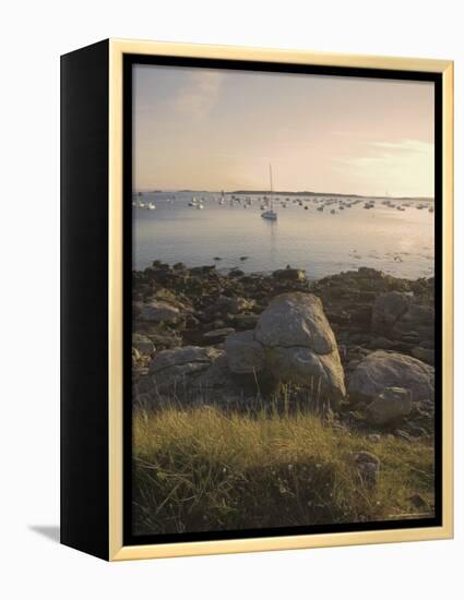 Ile Grande, Cote De Granit Rose, Cotes d'Armor, Brittany, France-David Hughes-Framed Premier Image Canvas