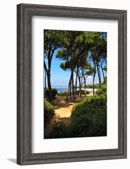 Ile Sainte Marguerite - Cannes - France-Philippe Hugonnard-Framed Photographic Print