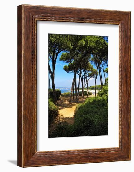 Ile Sainte Marguerite - Cannes - France-Philippe Hugonnard-Framed Photographic Print