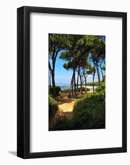 Ile Sainte Marguerite - Cannes - France-Philippe Hugonnard-Framed Photographic Print