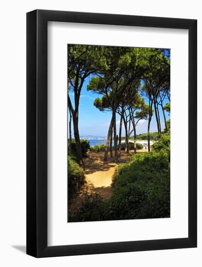 Ile Sainte Marguerite - Cannes - France-Philippe Hugonnard-Framed Photographic Print