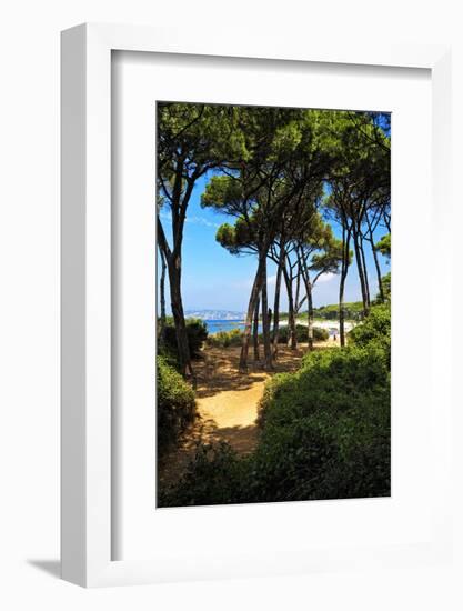 Ile Sainte Marguerite - Cannes - France-Philippe Hugonnard-Framed Photographic Print