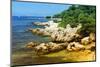 Iles de Lerins - Cannes - France-Philippe Hugonnard-Mounted Photographic Print