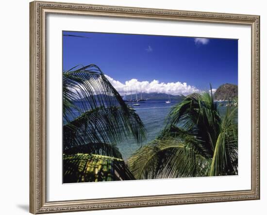Iles Des Saintes, Guadeloupe-null-Framed Photographic Print
