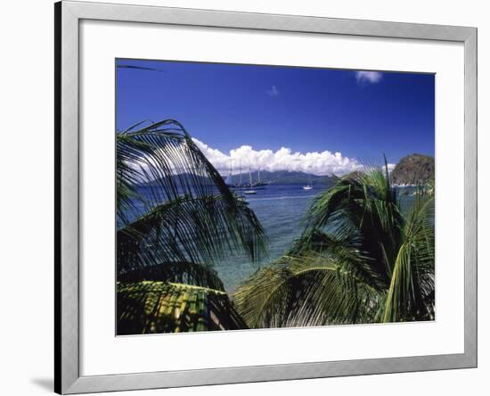 Iles Des Saintes, Guadeloupe-null-Framed Photographic Print