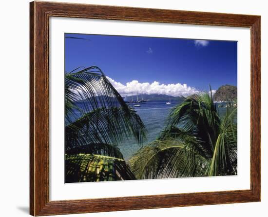 Iles Des Saintes, Guadeloupe-null-Framed Photographic Print