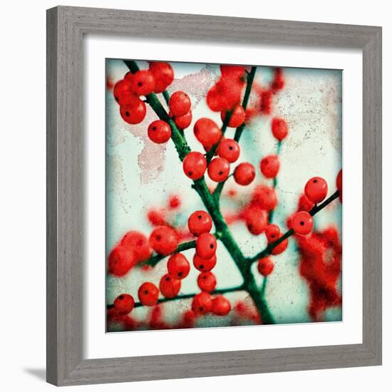 Ilex I-James Guilliam-Framed Giclee Print