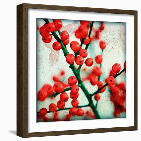 Ilex I-James Guilliam-Framed Giclee Print