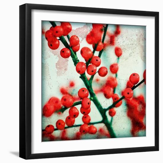 Ilex I-James Guilliam-Framed Giclee Print