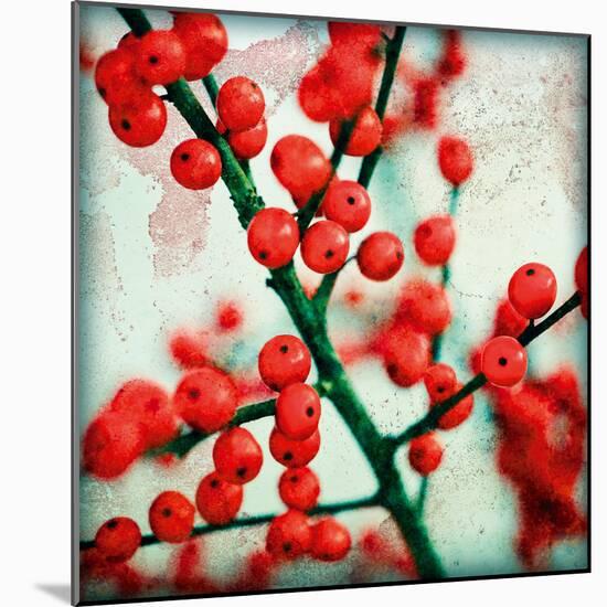 Ilex I-James Guilliam-Mounted Giclee Print