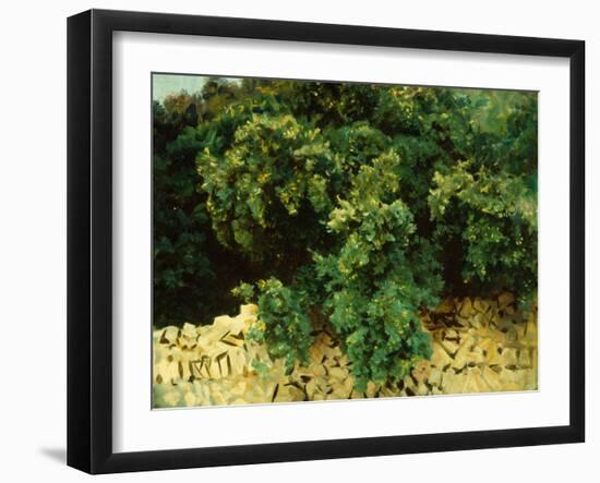 Ilex Wood, Majorca, 1908-John Singer Sargent-Framed Giclee Print