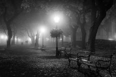 Foggy Day-Ilias Nikoloulis-Photographic Print