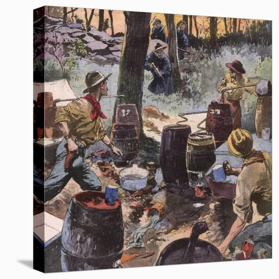 Stretched Canvas Print, , large