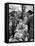 Illegal White Bread For Sale in Black Market-Alfred Eisenstaedt-Framed Premier Image Canvas