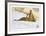 Illegal-Allan Mardon-Framed Collectable Print