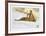 Illegal-Allan Mardon-Framed Collectable Print