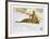 Illegal-Allan Mardon-Framed Collectable Print