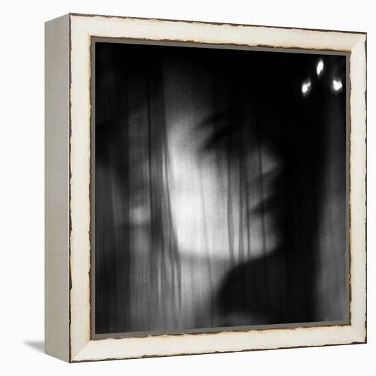 Illicit-Gideon Ansell-Framed Premier Image Canvas