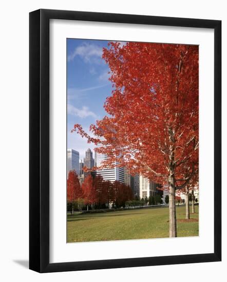 Illinois, Chicago, Millennium Park, Trees in a Park During Autumn-null-Framed Photographic Print