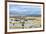 Illinois River Meanders through Arapaho National Wildlife Refuge, North Park near Walden, Colorado,-PixelsAway-Framed Photographic Print