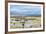 Illinois River Meanders through Arapaho National Wildlife Refuge, North Park near Walden, Colorado,-PixelsAway-Framed Photographic Print